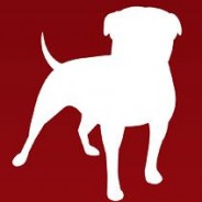 Zynga idzie na wojnę